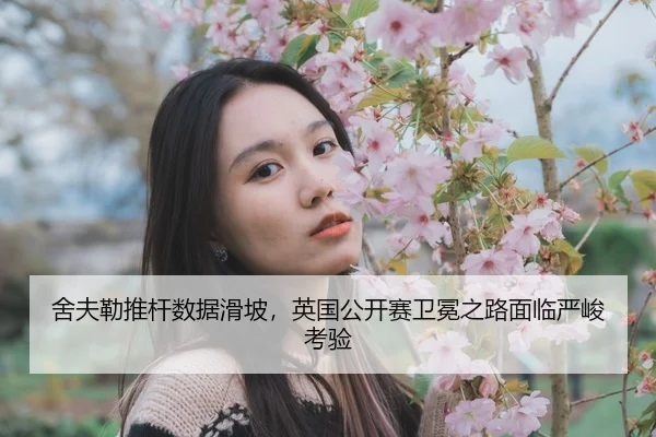 she-fu-lei-tui-gan-shu-ju-hua-po-ying-guo-gong-kai-sai-wei-mian-zhi-lu-mian-lin-yan-jun-kao-yan-2-291.jpg