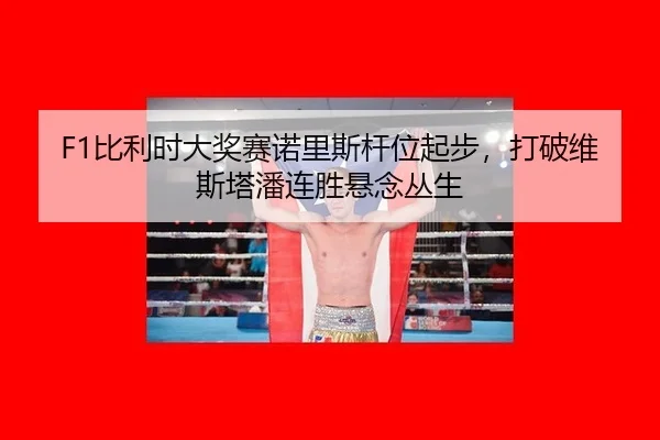 bi-li-shi-da-jiang-sai-nuo-li-si-gan-wei-qi-bu-da-po-wei-si-ta-pan-lian-sheng-xuan-nian-cong-sheng-2-252.jpg