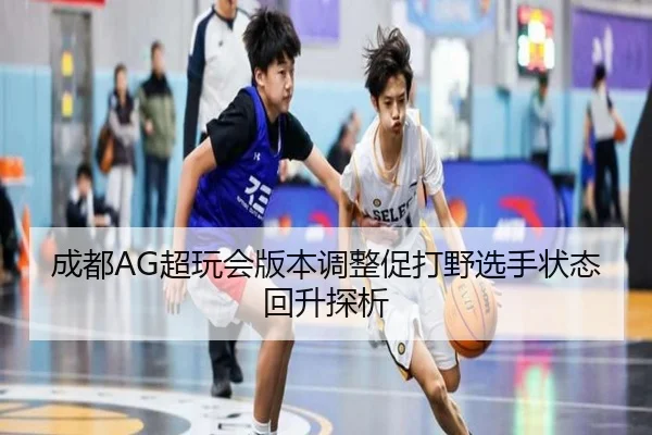 成都AG超玩会版本调整促打野选手状态回升探析