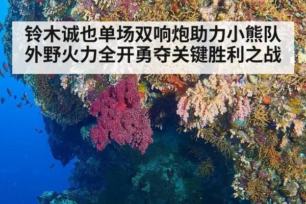 铃木诚也单场双响炮助力小熊队外野火力全开勇夺关键胜利之战